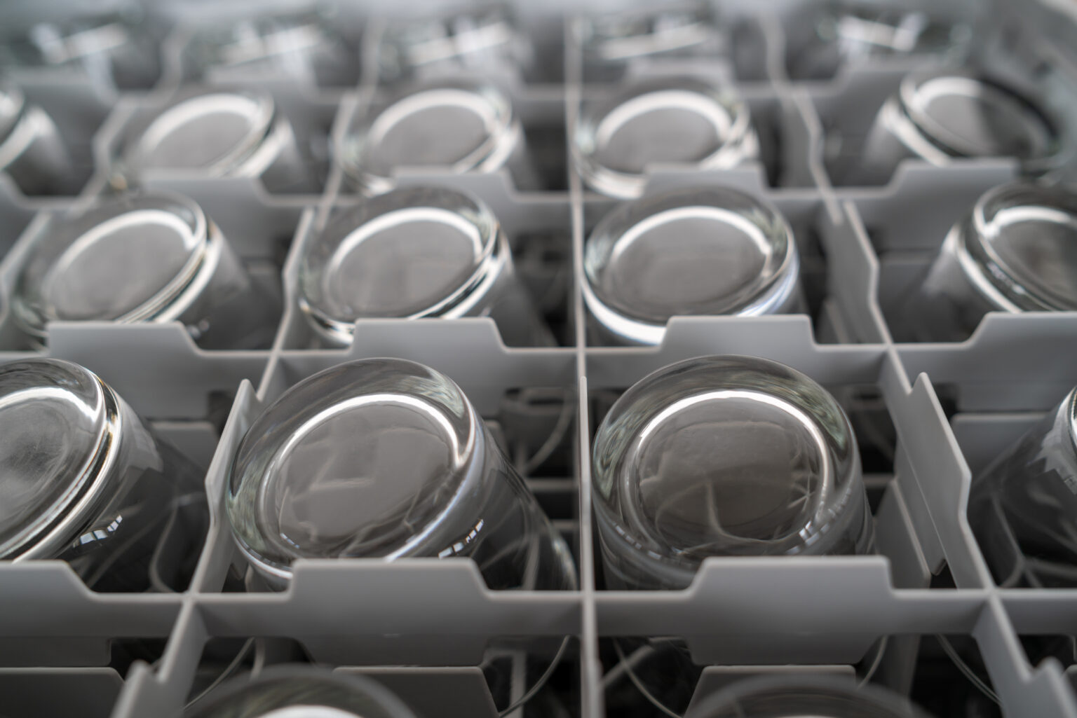 Close up of glasses in a basket for an automatic dishwasher machine.